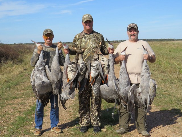 Sandhill Crane Hunt Texas