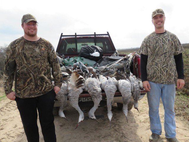 Sandhill Crane Hunt Texas