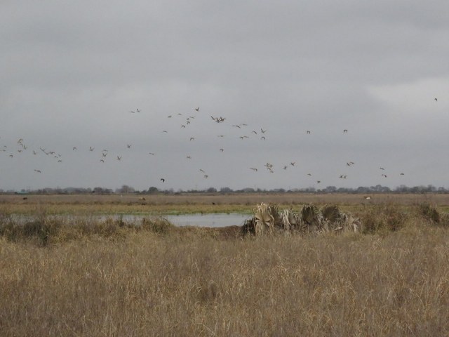 Hunt Club Land Texas